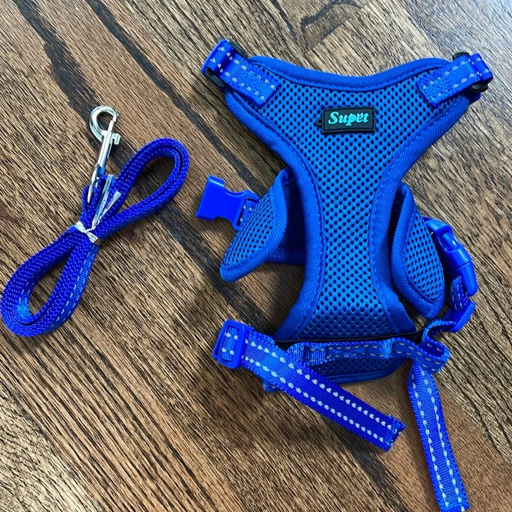 Cat Harness